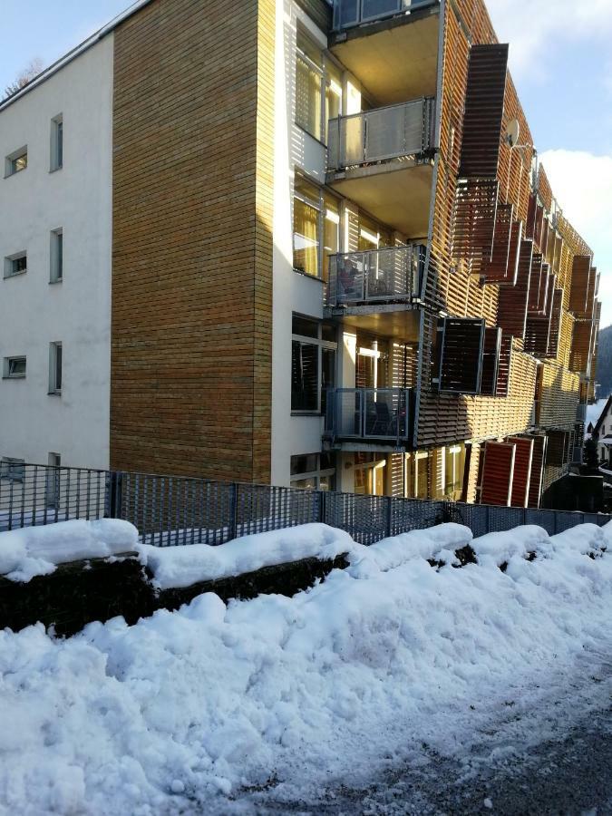 Rodinny Apartman Harrachov 606 Экстерьер фото