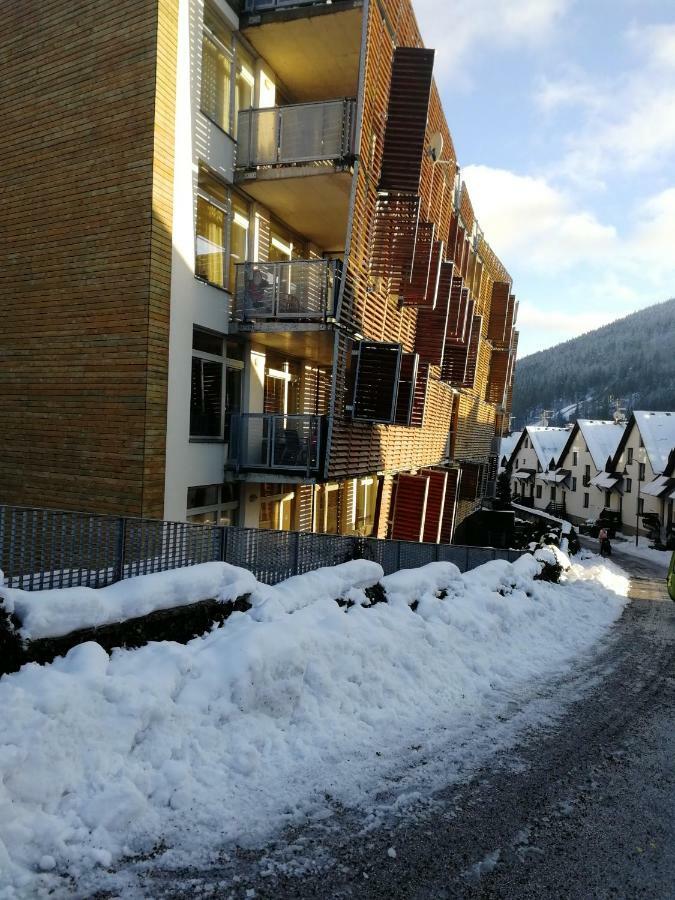 Rodinny Apartman Harrachov 606 Экстерьер фото